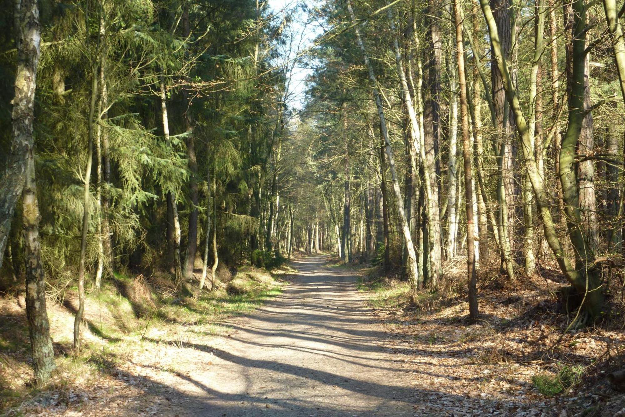Fewo Rothirsch - Heuser Prerow Extérieur photo